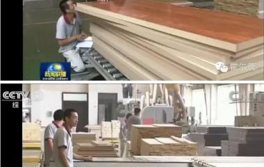 央视一套《火博(中国)联播》在说霍尔茨，你知道么？