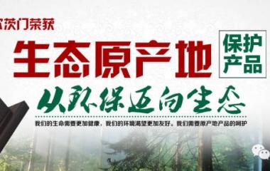 霍尔茨生态体系木门，让生态住您家！