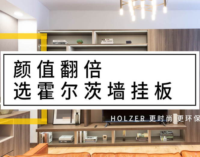 颜值翻倍，选霍尔茨墙挂板！